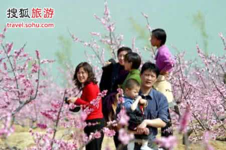 春游去哪里好玩 春游想好去哪里玩了吗