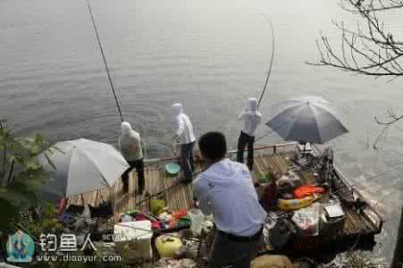 大河野钓鲫鱼怎么选窝 浅谈春钓选窝技巧