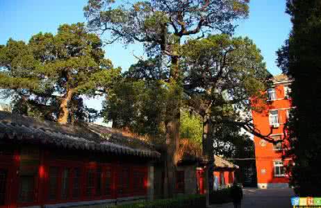 海淀妇幼定慧寺分院 北京海淀：定慧寺读碑