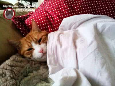 涨知识是什么意思 贴膘是什么意思 涨知识 || 让你寒冬只瘦不贴膘,产后妈妈学起来!