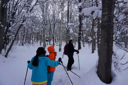 冬天去北海道穿什么鞋 冬天去北海道穿什么 北海道的雪,满足了我对冬天的所有幻想!
