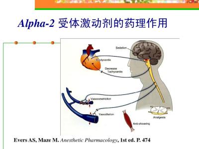 心脏瓣膜置换术 右美托咪定对体外循环心脏瓣膜置换术患者术后认知功能障碍的影响