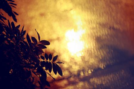 雨夜屠夫 雨夜静默  雨夜温柔