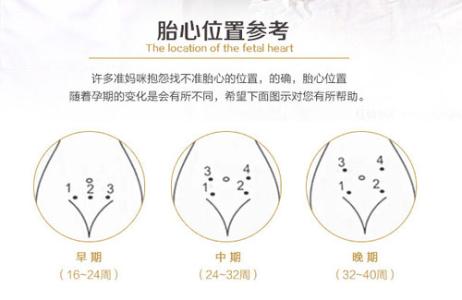 胎动位置看胎位图片 胎动位置判断胎位