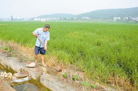 农村集体经济 农村集体经济归宿在何方