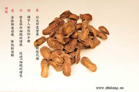牛蒡茶可以长期喝吗 长期喝牛蒡茶对身体有害吗