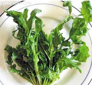 常吃的蔬菜 惊蛰常吃五大养生蔬菜