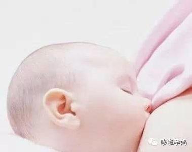 催乳食物 产后高效催乳 离不开的8种食物