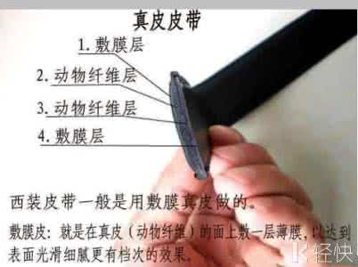 生活百科教案 【生活百科】一张图教你怎样区分真皮 仿皮 PU皮 牛皮 羊皮