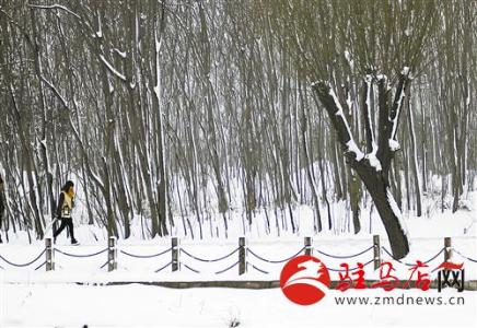 白雪却嫌春色晚全诗 大雪|白雪嫌春晚，故穿庭树作飞花