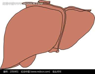 药酒大全 药酒大全 能润燥通便的温肾益肝酒方