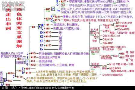 中华民族的历史形成 中华民族的形成及血统