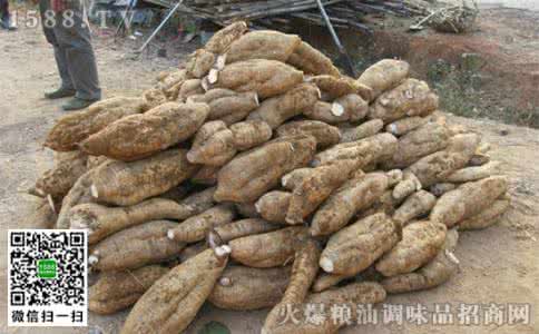 孕妇可以吃葛根煲汤吗 孕妇能吃葛根吗