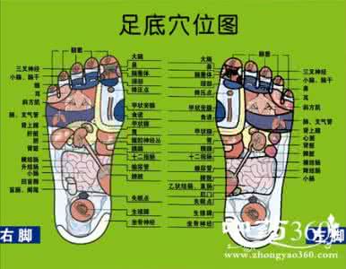 股骨头足底按摩 足底按摩穴位图 足底穴位贴敷治疗失眠60例