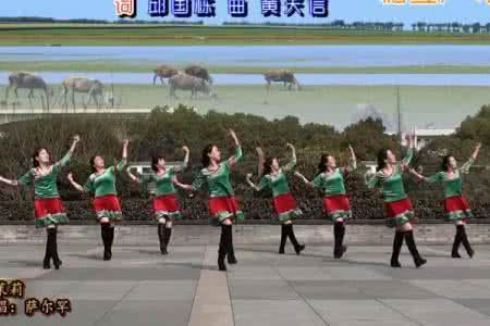 茉莉广场舞新天仙配 茉莉广场舞 经典广场舞天仙配视频教学