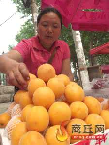 端午吃个杏 “端午吃个杏,到老没有病”