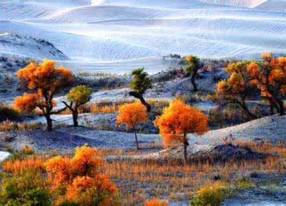 燃烧的青春最美丽 “燃烧”美丽秋色