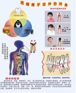 儿童肥胖的危害及预防 李可基: 肥胖的危害及预防