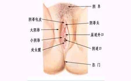 外阴刺痛自己会好吗 外阴痛