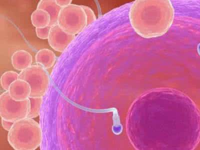 为什么精子不液化 精子为什么不液化 精子不液化为什么会影响生育