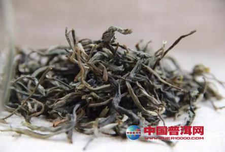 古树普洱茶yulintea 形成好品质古树普洱茶的“四个原则”