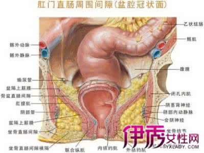 肛门胀痛下坠感症状 肛门坠胀的症状 肛门坠胀的原因 肛门坠胀有哪些症状