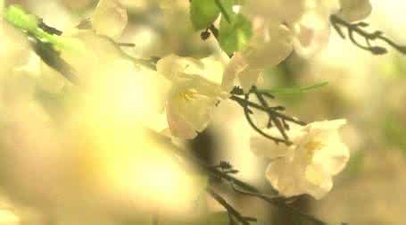 哲学故事启示人生道理 需要花一辈子去领悟的人生道理！值得你铭记在心！