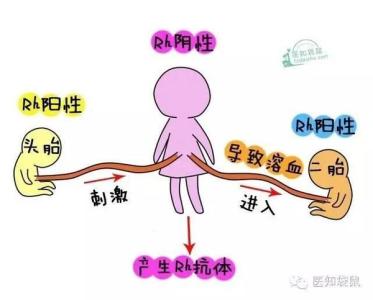 夫妻血型配对表解析 “天生一对”的夫妻血型