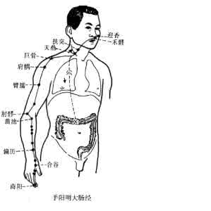 求医问药 向你的神奇穴位求医问药！