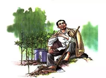 林清玄 桃花心木 林清玄：桃花心木