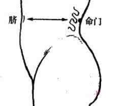 补肾强身片 想强肾补肾只需每天按按命门穴