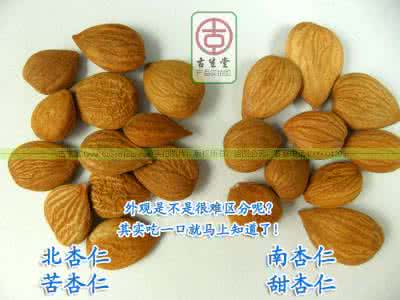 南杏仁和北杏仁的产地 南杏仁和北杏仁有什么区别