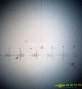 北京雾霾粒千倍放大后 千倍放大后的北京霾颗粒 如何预防雾霾病