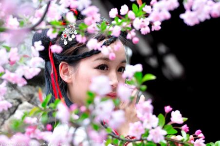 清词丽句 古韵风华，清词丽句