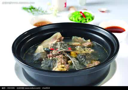 清炖甲鱼的家常做法 清炖甲鱼的家常做法 美味滋补就吃甲鱼