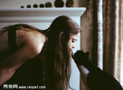 调教猫奴应该说什么 没经历过这些,都不好意思说自己是猫奴...
