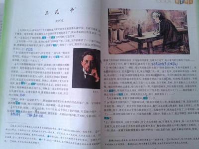 凡卡读后感 凡卡读后感 小说凡卡读后感  凡卡内容介绍