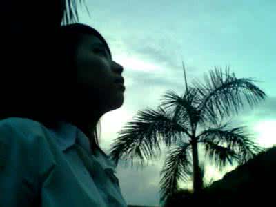 说不出口 有一种爱，说不出口