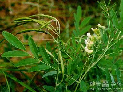 皮肤瘙痒有什么偏方 蚊虫叮咬缓解皮肤瘙痒有什么偏方
