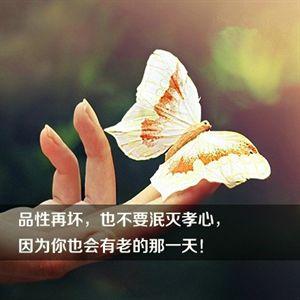 人生必须记住的十句话 人生记住5句话【图文】
