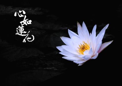 莲花生大士心咒 蓮花心【特效音畫】
