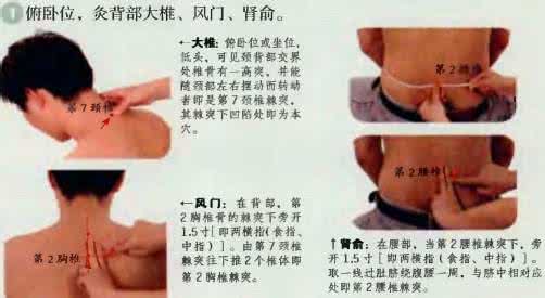 艾灸治疗风湿性关节炎 艾灸治疗风湿性关节炎方法(附穴位图)
