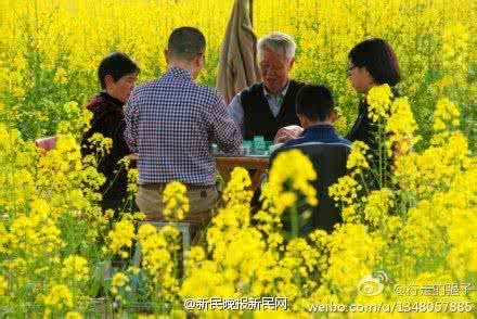 油菜花拍摄技巧 乐金摄影采风团 | 油菜花拍摄技巧攻略