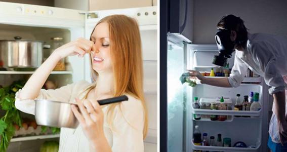 冰箱怎么快速除异味 去除冰箱异味