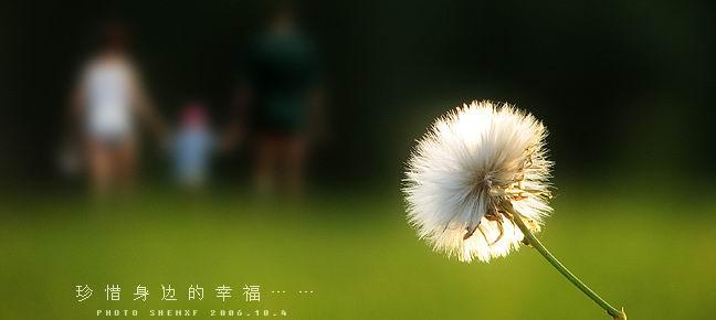 珍惜所拥有的幸福600字 珍惜身边的幸福