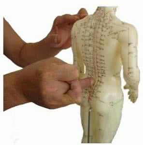 五绝指针疗法 五绝指针丰胸术