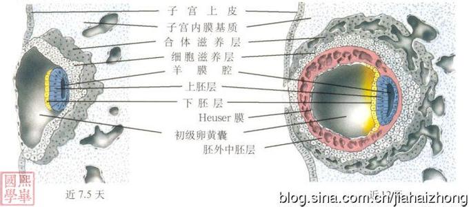 小周天真气运行图 对任督二脉?真气?小周天的认识