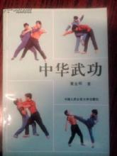 中华武功 《中华武功》（董金明）