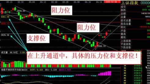 阴线十字星说明什么 十字星说明什么？