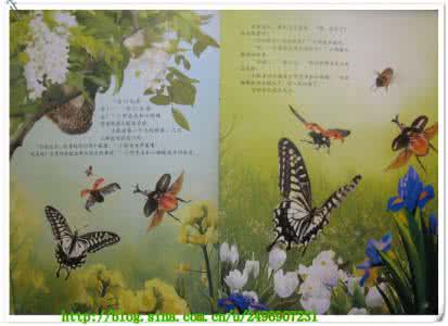 郭风蜜蜂读后感 蜜蜂读后感